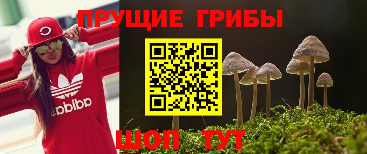 Псилоцибиновые грибы Psilocybine cubensis  Вход с VPN  Курск 